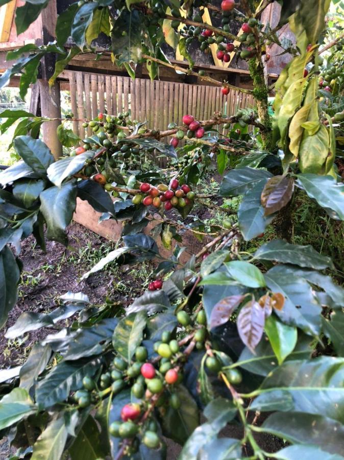 Alojamiento Rural Jardin Consentido Buitenkant foto