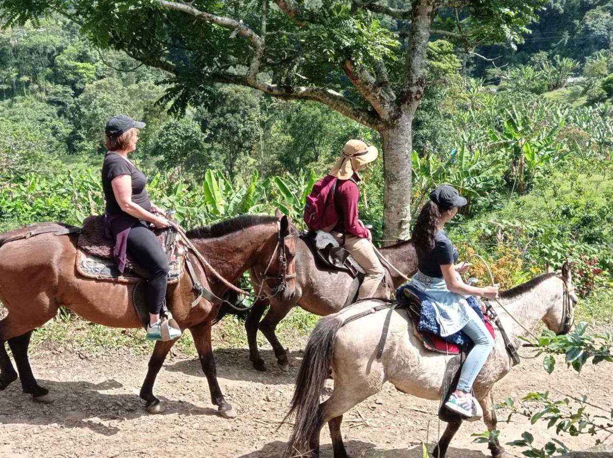 Alojamiento Rural Jardin Consentido Buitenkant foto