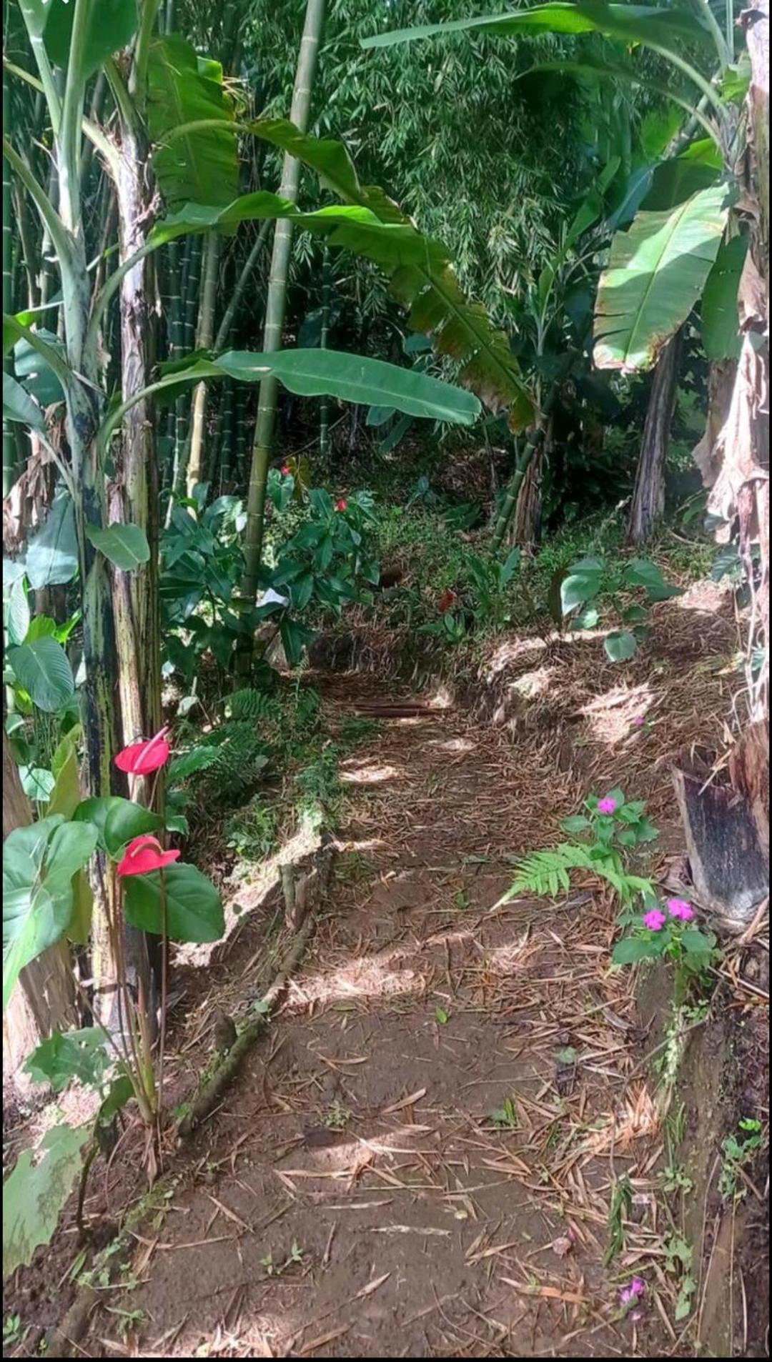 Alojamiento Rural Jardin Consentido Buitenkant foto