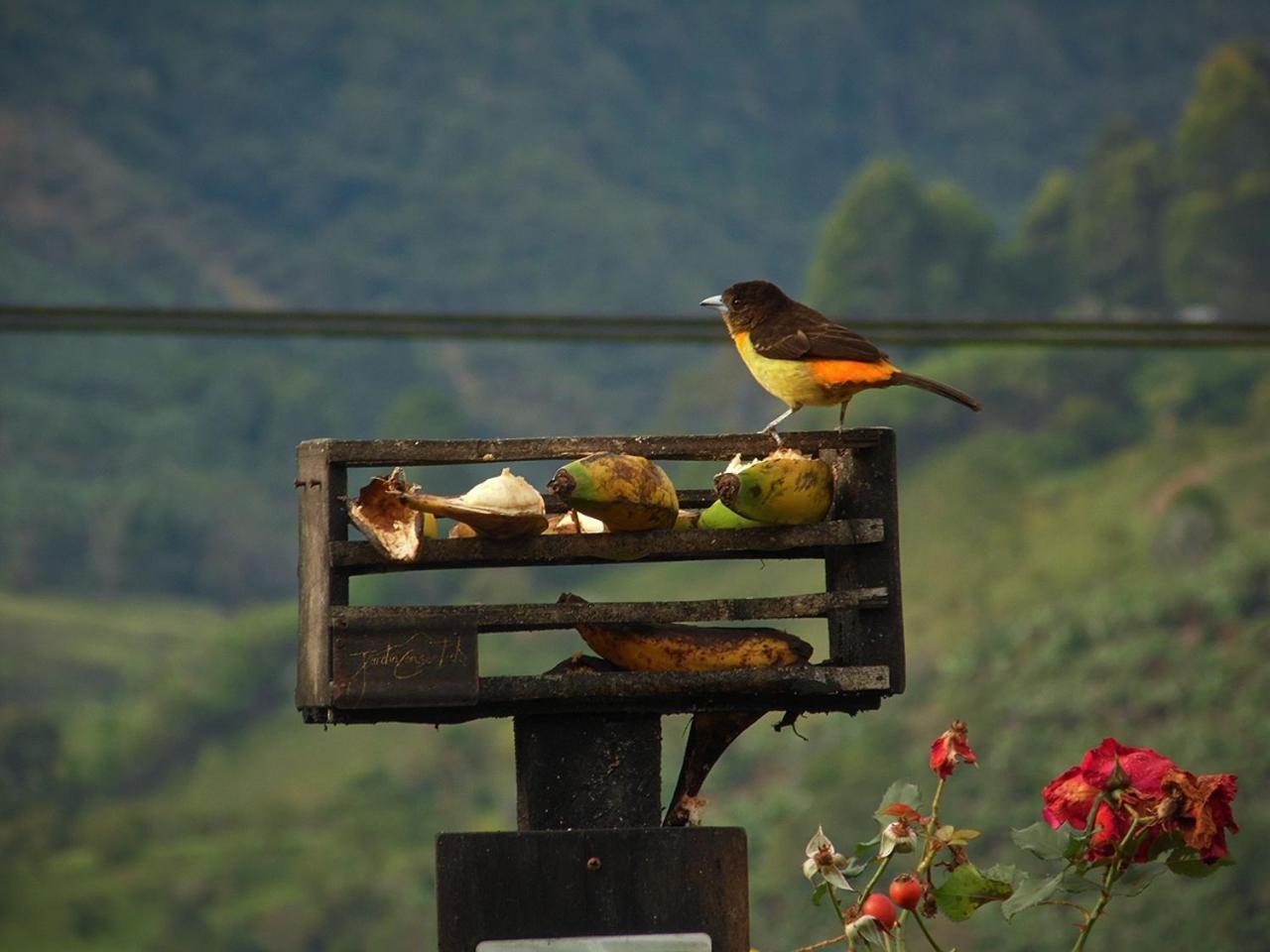 Alojamiento Rural Jardin Consentido Buitenkant foto