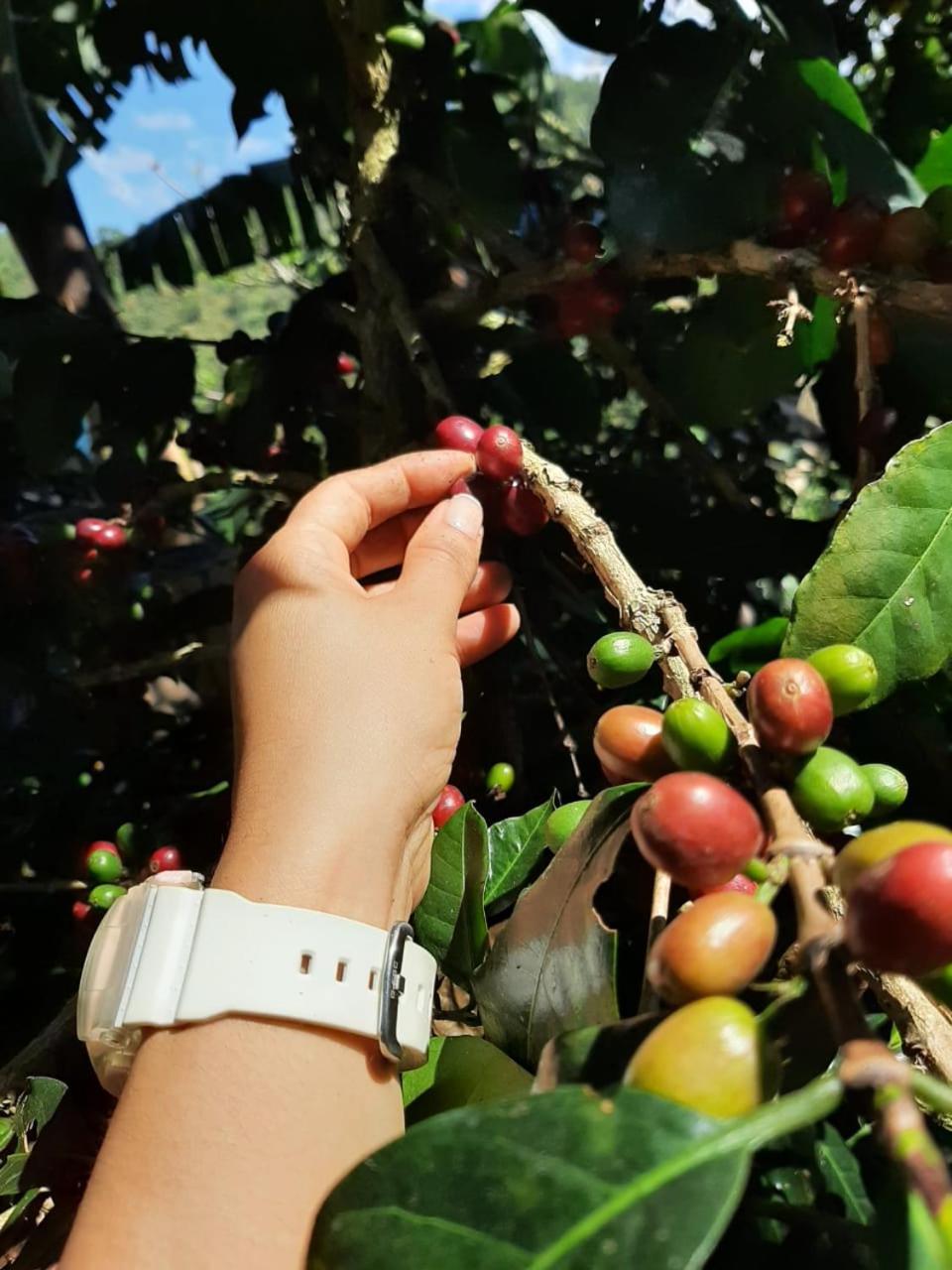 Alojamiento Rural Jardin Consentido Buitenkant foto