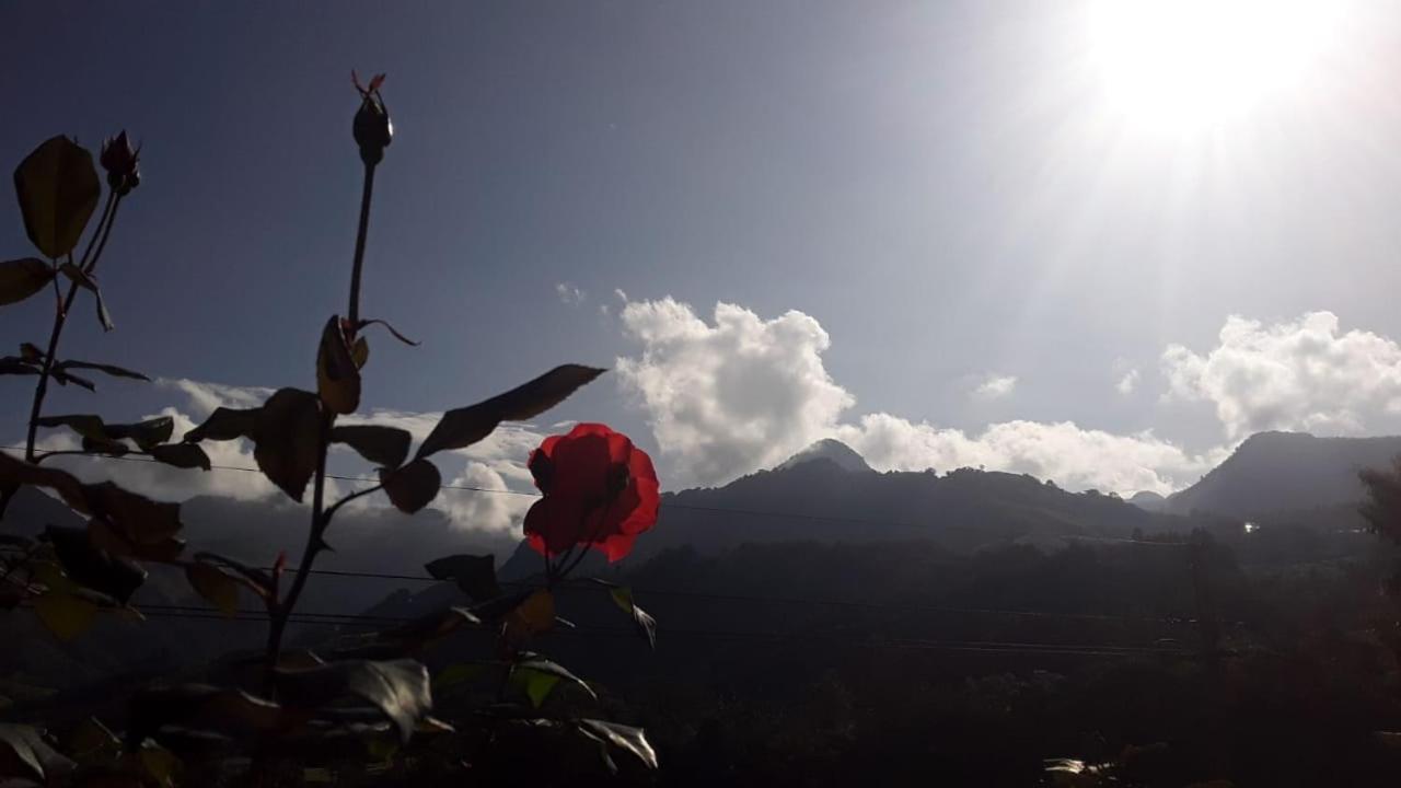 Alojamiento Rural Jardin Consentido Buitenkant foto