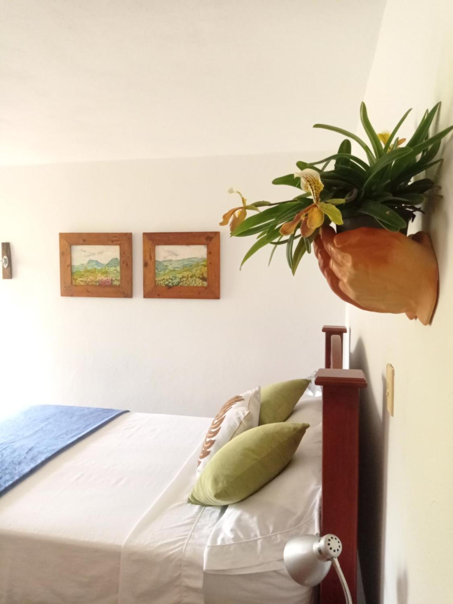 Alojamiento Rural Jardin Consentido Kamer foto