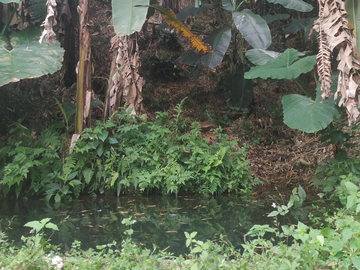 Alojamiento Rural Jardin Consentido Buitenkant foto